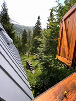 ~Chalet_Rifugio tra i boschi~